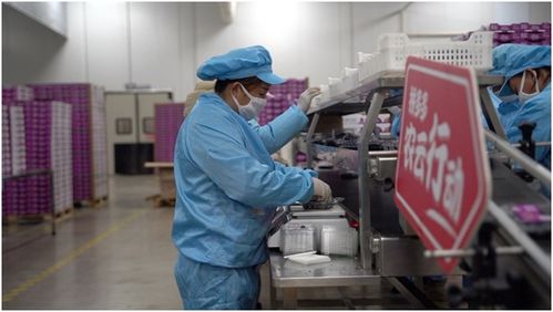 拼多多 農(nóng)云行動 力推云南藍莓破圈