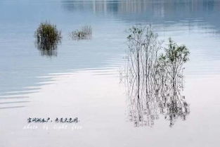 就在成都周邊,這個小城竟私藏著小柬埔寨 湖泊 古鎮和雪山,景色絕美