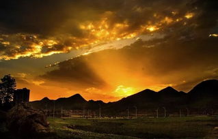 浮云游子意，落日故人情 古詩詞中的思鄉(xiāng)與友情